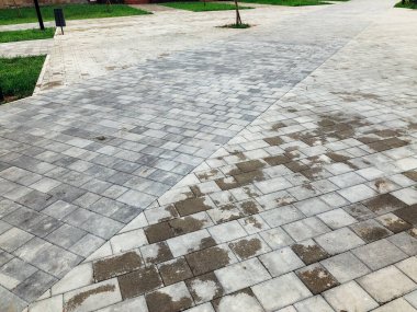 Yeşil bitkilerle dolu bahçe taşı patikası, gündüz vakti tuğla kaldırım. 