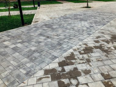 Yeşil bitkilerle dolu bahçe taşı patikası, gündüz vakti tuğla kaldırım. 