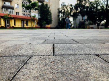 Gündüz vakti şehir parkında yürüyüş yolu taşları 