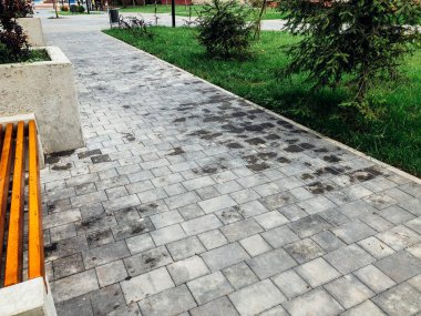 Yeşil bitkilerle dolu bahçe taşı patikası, gündüz vakti tuğla kaldırım. 
