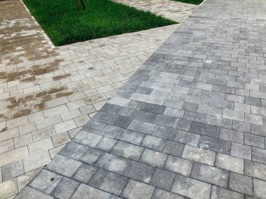 Yeşil bitkilerle dolu bahçe taşı patikası, gündüz vakti tuğla kaldırım. 