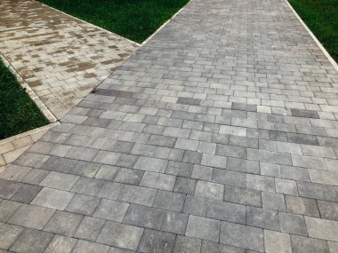 Yeşil bitkilerle dolu bahçe taşı patikası, gündüz vakti tuğla kaldırım. 