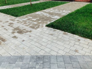 Yeşil bitkilerle dolu bahçe taşı patikası, gündüz vakti tuğla kaldırım. 