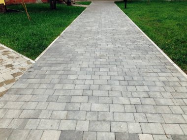 Yeşil bitkilerle dolu bahçe taşı patikası, gündüz vakti tuğla kaldırım. 