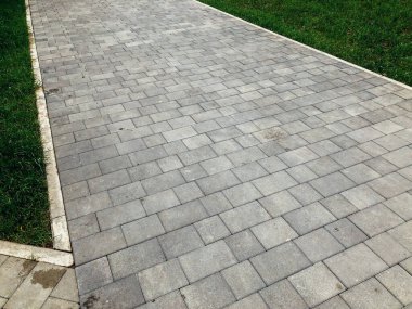 Yeşil bitkilerle dolu bahçe taşı patikası, gündüz vakti tuğla kaldırım. 