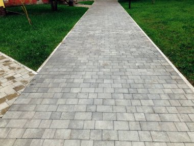 Yeşil bitkilerle dolu bahçe taşı patikası, gündüz vakti tuğla kaldırım. 