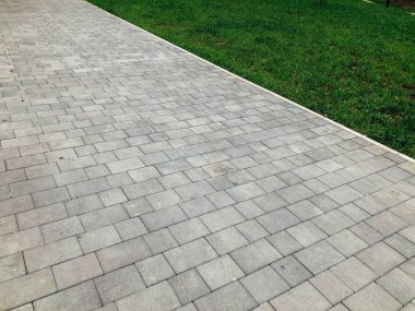 Yeşil bitkilerle dolu bahçe taşı patikası, gündüz vakti tuğla kaldırım. 