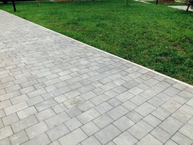 Yeşil bitkilerle dolu bahçe taşı patikası, gündüz vakti tuğla kaldırım. 