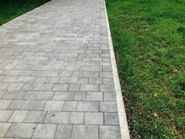 Yeşil bitkilerle dolu bahçe taşı patikası, gündüz vakti tuğla kaldırım. 