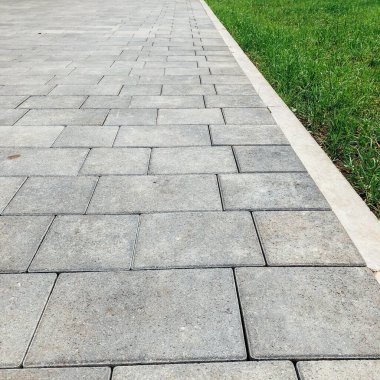 Yeşil bitkilerle dolu bahçe taşı patikası, gündüz vakti tuğla kaldırım. 