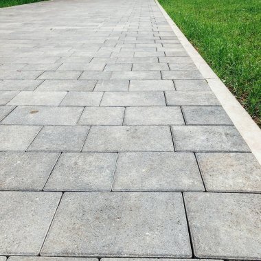 Yeşil bitkilerle dolu bahçe taşı patikası, gündüz vakti tuğla kaldırım. 