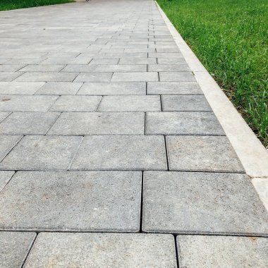 Yeşil bitkilerle dolu bahçe taşı patikası, gündüz vakti tuğla kaldırım. 