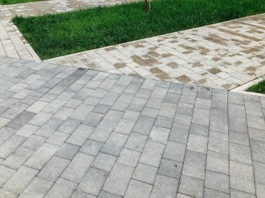 Yeşil bitkilerle dolu bahçe taşı patikası, gündüz vakti tuğla kaldırım. 