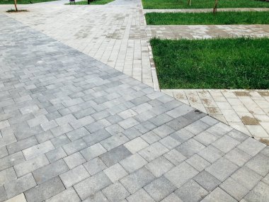 Yeşil bitkilerle dolu bahçe taşı patikası, gündüz vakti tuğla kaldırım. 