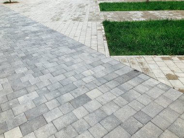 Yeşil bitkilerle dolu bahçe taşı patikası, gündüz vakti tuğla kaldırım. 