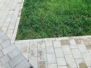 Yeşil bitkilerle dolu bahçe taşı patikası, gündüz vakti tuğla kaldırım. 