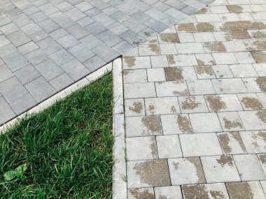Yeşil bitkilerle dolu bahçe taşı patikası, gündüz vakti tuğla kaldırım. 