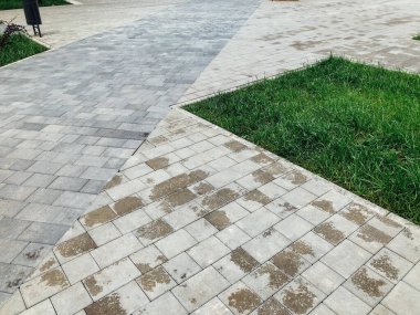 Yeşil bitkilerle dolu bahçe taşı patikası, gündüz vakti tuğla kaldırım. 