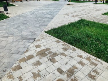 Yeşil bitkilerle dolu bahçe taşı patikası, gündüz vakti tuğla kaldırım. 