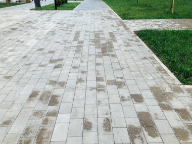 Yeşil bitkilerle dolu bahçe taşı patikası, gündüz vakti tuğla kaldırım. 