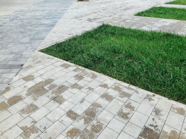 Yeşil bitkilerle dolu bahçe taşı patikası, gündüz vakti tuğla kaldırım. 