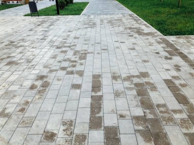 Yeşil bitkilerle dolu bahçe taşı patikası, gündüz vakti tuğla kaldırım. 