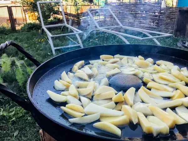 Livre Tiro Batatas Fritas Uma Panela Durante Dia — Fotografia de Stock