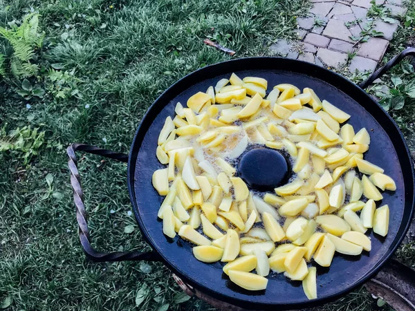 Livre Tiro Batatas Fritas Uma Panela Durante Dia — Fotografia de Stock