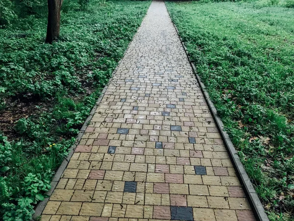 緑の植物と庭の石の道 昼間のレンガ造りの歩道 — ストック写真