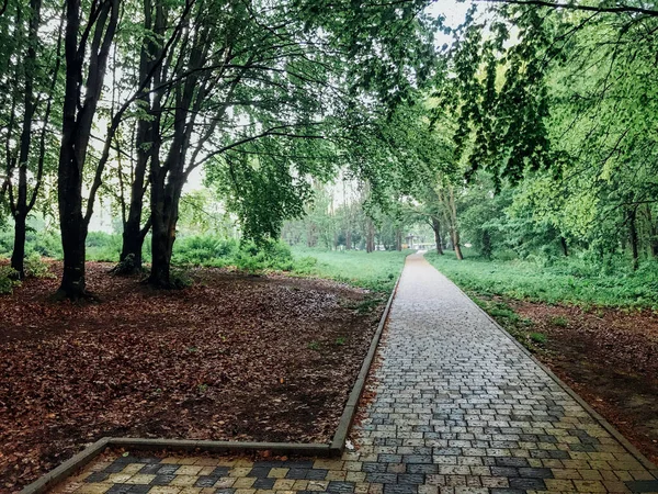 Camino Piedra Jardín Con Plantas Verdes Acera Ladrillo Durante Día —  Fotos de Stock