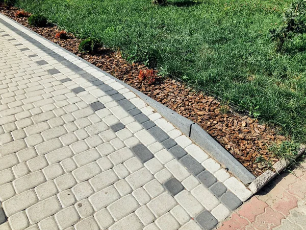 Yeşil bitkilerle dolu bahçe taşı patikası, gündüz vakti tuğla kaldırım. 