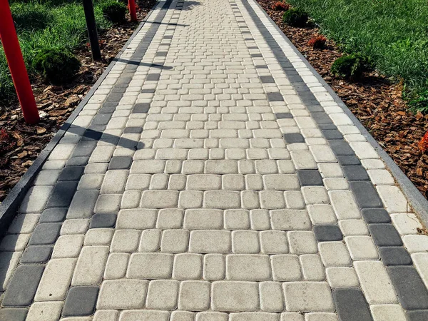 Chemin Pierre Jardin Avec Des Plantes Vertes Trottoir Brique Jour — Photo