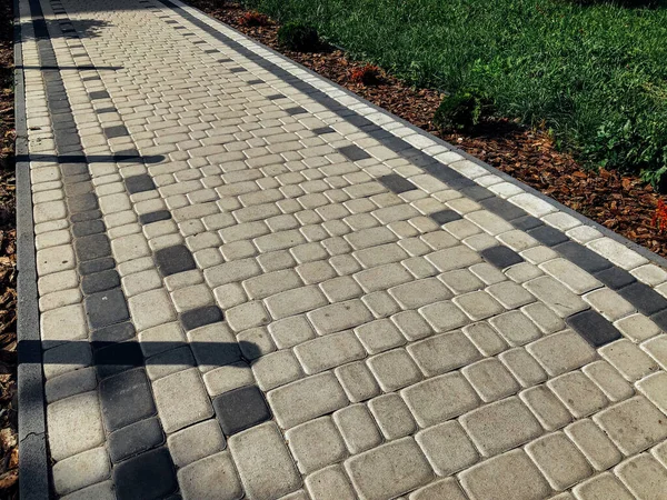 Caminho Pedra Jardim Com Plantas Verdes Calçada Tijolo Durante Dia — Fotografia de Stock