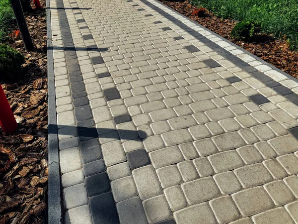 Yeşil bitkilerle dolu bahçe taşı patikası, gündüz vakti tuğla kaldırım. 