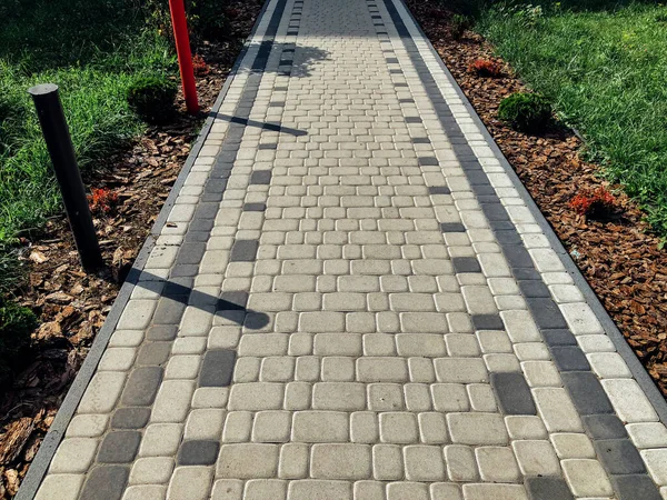 Chemin Pierre Jardin Avec Des Plantes Vertes Trottoir Brique Jour — Photo