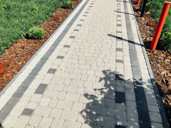 Caminho Pedra Jardim Com Plantas Verdes Calçada Tijolo Durante Dia — Fotografia de Stock