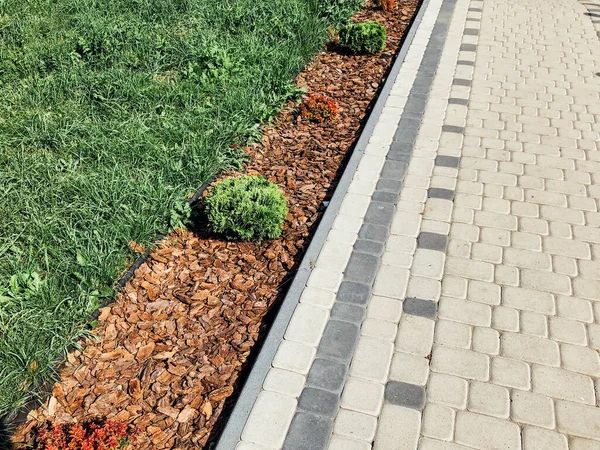 Garden Stone Path Green Plants Brick Sidewalk Daytime — Stock Photo, Image