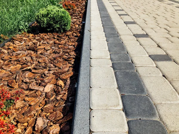 Caminho Pedra Jardim Com Plantas Verdes Calçada Tijolo Durante Dia — Fotografia de Stock