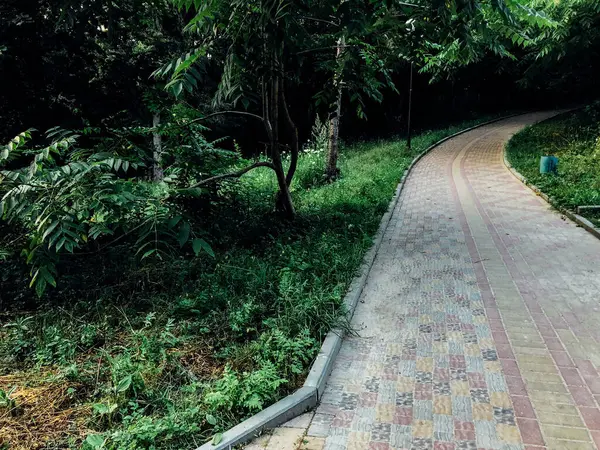 Camino Piedra Jardín Con Plantas Verdes Acera Ladrillo Durante Día —  Fotos de Stock