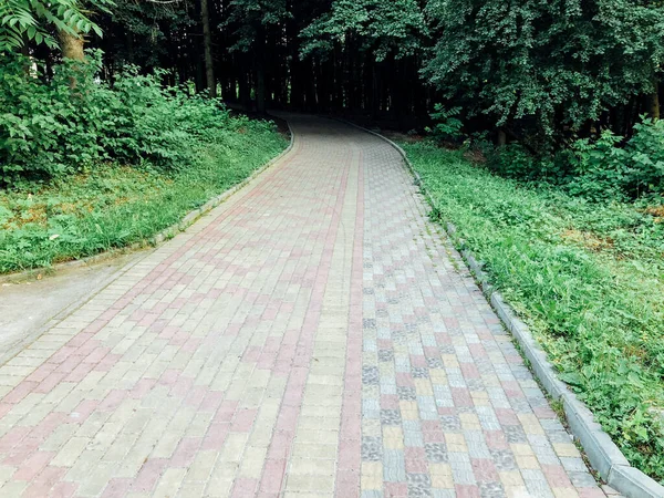 Camino Piedra Jardín Con Plantas Verdes Acera Ladrillo Durante Día —  Fotos de Stock