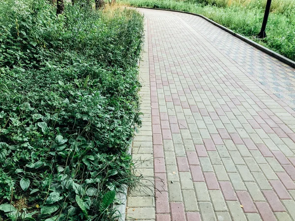 Caminho Pedra Jardim Com Plantas Verdes Calçada Tijolo Durante Dia — Fotografia de Stock