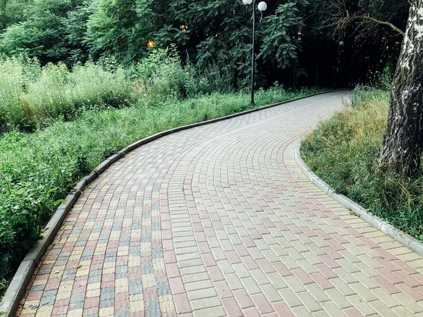 緑の植物と庭の石の道 昼間のレンガ造りの歩道 — ストック写真