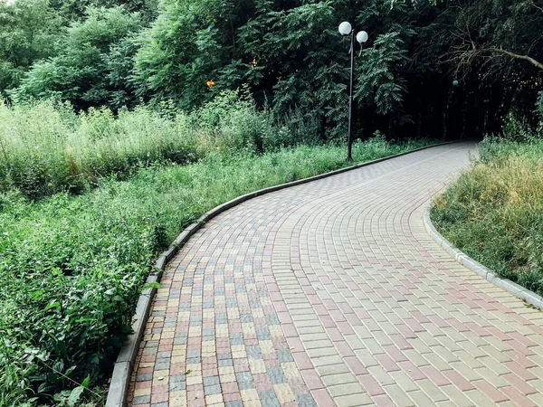 Tuin Stenen Pad Met Groene Planten Bakstenen Stoep Overdag — Stockfoto