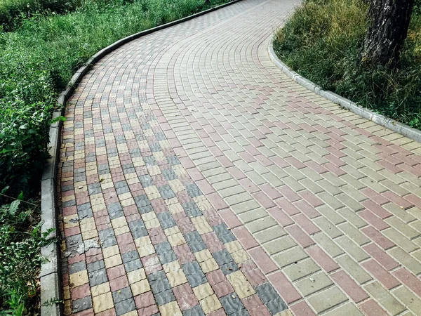 Chemin Pierre Jardin Avec Des Plantes Vertes Trottoir Brique Jour — Photo