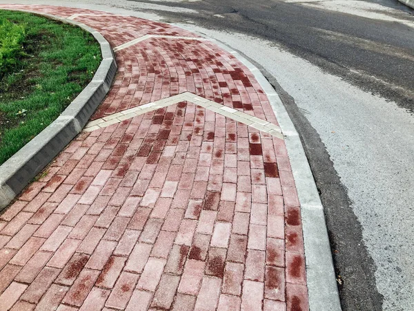 Caminho Pedra Jardim Com Plantas Verdes Calçada Tijolo Durante Dia — Fotografia de Stock