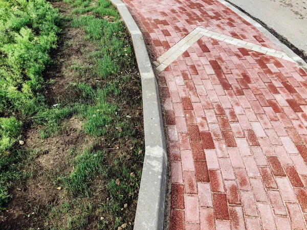 Caminho Pedra Jardim Com Plantas Verdes Calçada Tijolo Durante Dia — Fotografia de Stock