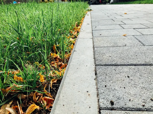 Caminho Pedra Jardim Com Plantas Verdes Calçada Tijolo Durante Dia — Fotografia de Stock