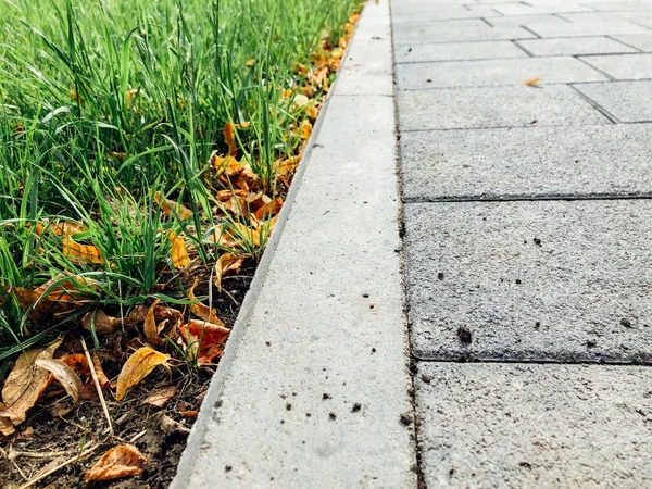 Giardino Percorso Pietra Con Piante Verdi Marciapiede Mattoni Durante Giorno — Foto Stock