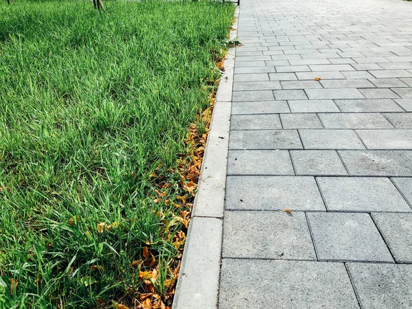 Caminho Pedra Jardim Com Plantas Verdes Calçada Tijolo Durante Dia — Fotografia de Stock