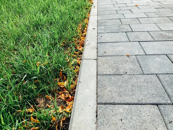 Caminho Pedra Jardim Com Plantas Verdes Calçada Tijolo Durante Dia — Fotografia de Stock